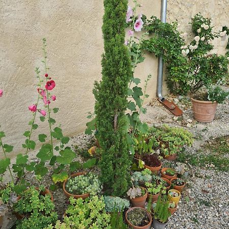 Charmant Logement A La Campagne Gazaupouy Zewnętrze zdjęcie