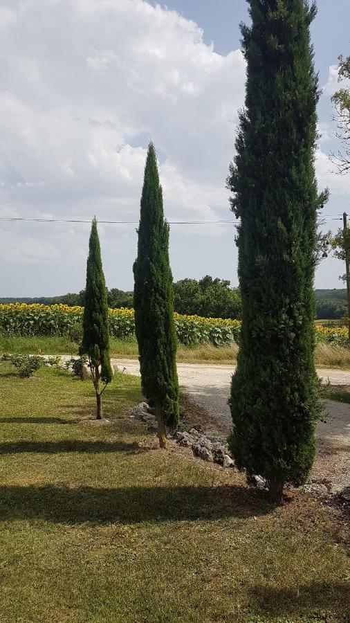 Charmant Logement A La Campagne Gazaupouy Zewnętrze zdjęcie